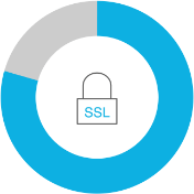 SSL-TLS 69 percent circle-1
